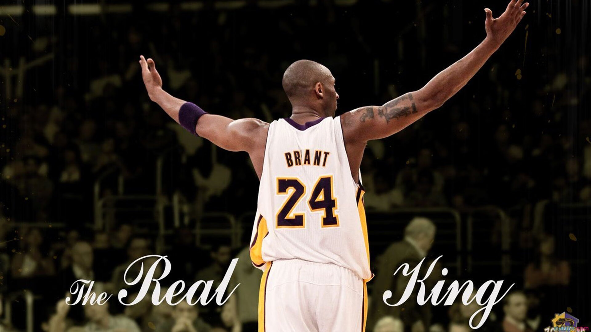 沙漠马拉松：勇闯荒漠的无畏挑战，2021沙漠马拉松